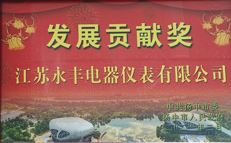 2021年扬中市发展贡献奖